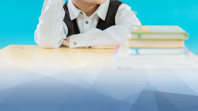 网络课程推广方案PPT：打造高效学习体验的关键要素